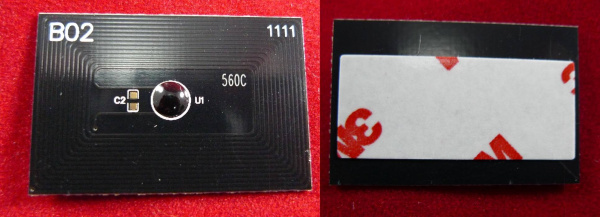 10000048288_1 10000048288_1