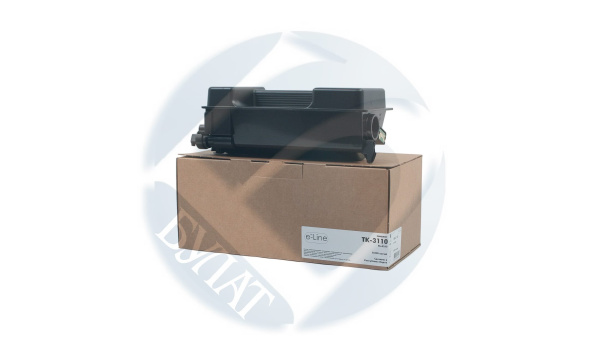 AAMTFS4100080