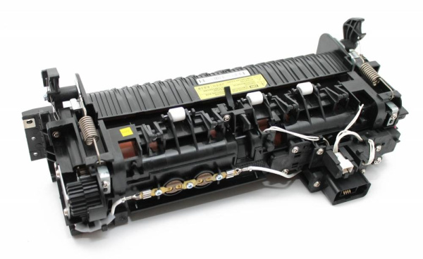 IMG10000045329_1 IMG10000045329_1