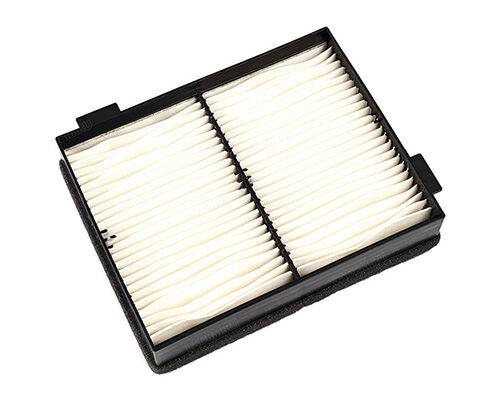 10000133235_1 10000133235_1