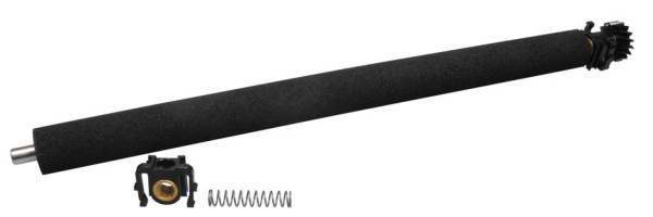 10000043779_1