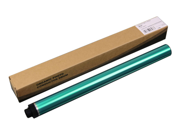 10000101629_1 10000101629_1