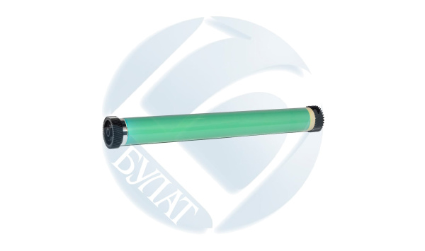 ACLXOPT630010
