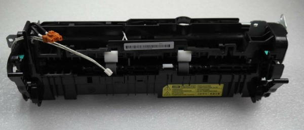 10000011391_1 10000011391_1