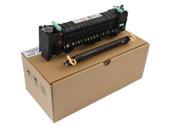 10000107935_1 10000107935_1